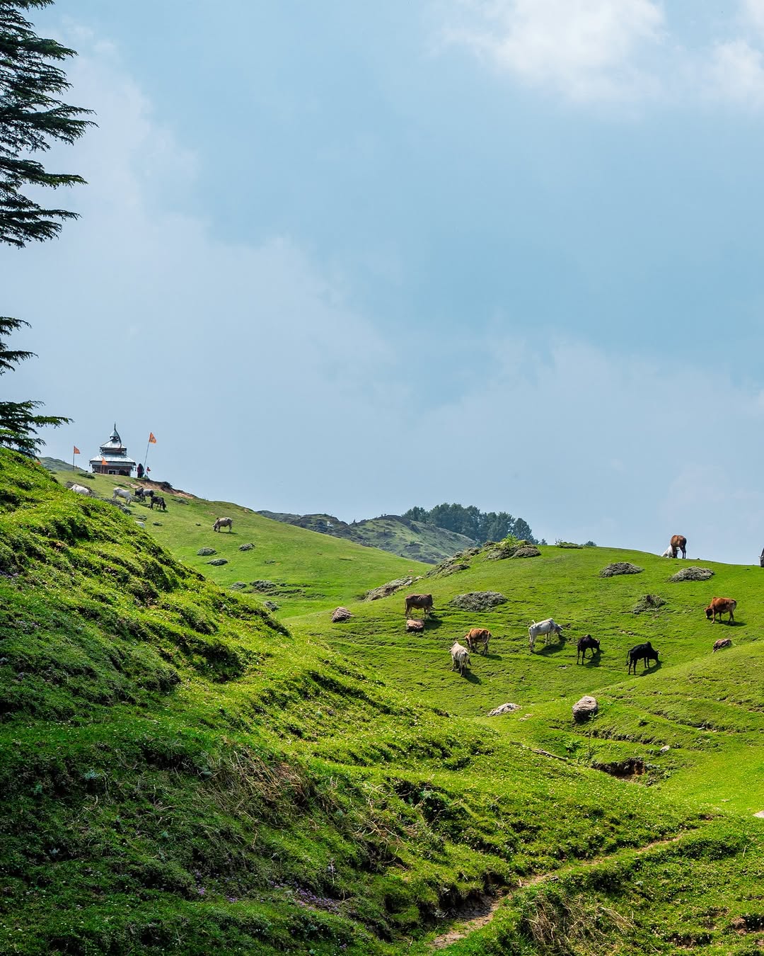 chakrata tour package from delhi